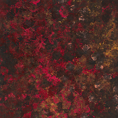 Wildflowers | 210x210cm