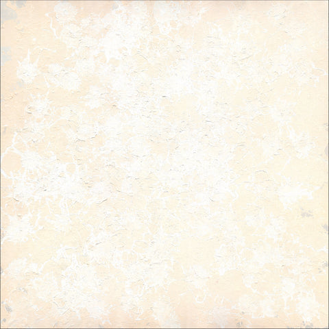 Wildflowers, 2025 | 210x210cm